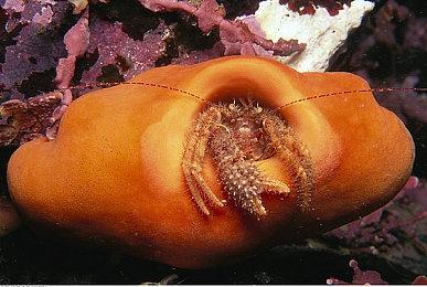 经典游戏《星球大战：原力释放》4月20日登陆Switch